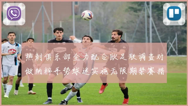 热刺俱乐部全力配合欧足联调查对做纳粹手势球迷实施无限期禁赛措施