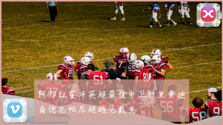 阿邦拉霍评英超最佳中卫特里费迪南德孔帕尼超越范戴克
