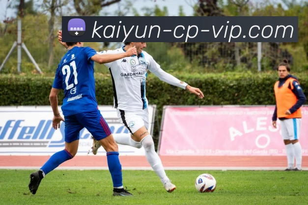 开云彩票APP 封面图